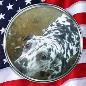 Meet your Posher, Steve